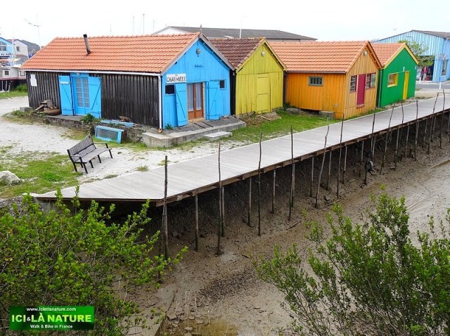 27-picture atlantic coast ile oleron
