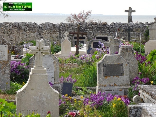 29-cimetiere marin royan talmont