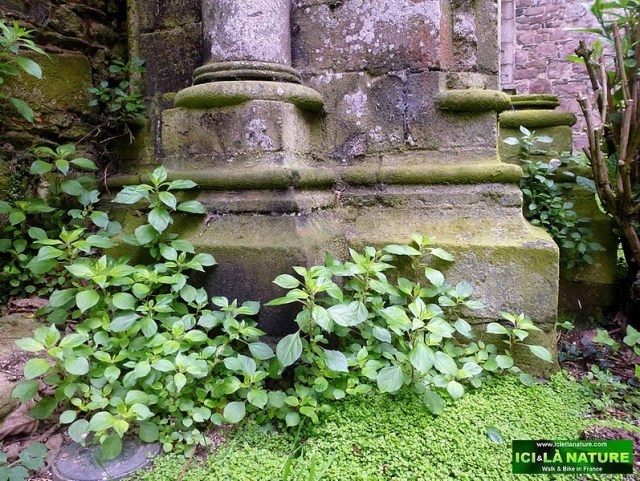 30-beauport abbey france