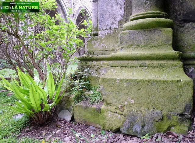 31-romanesque church france