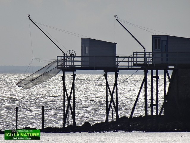 34-carrelets charente talmont