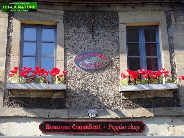 35-bayeux poppies normandy shop