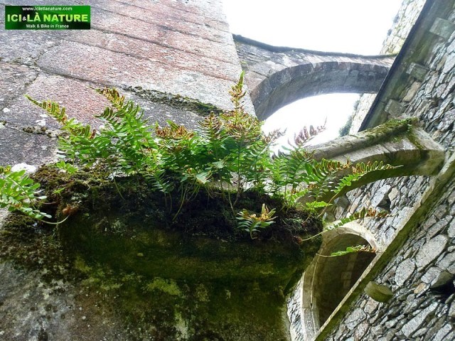 35-religious classified monument