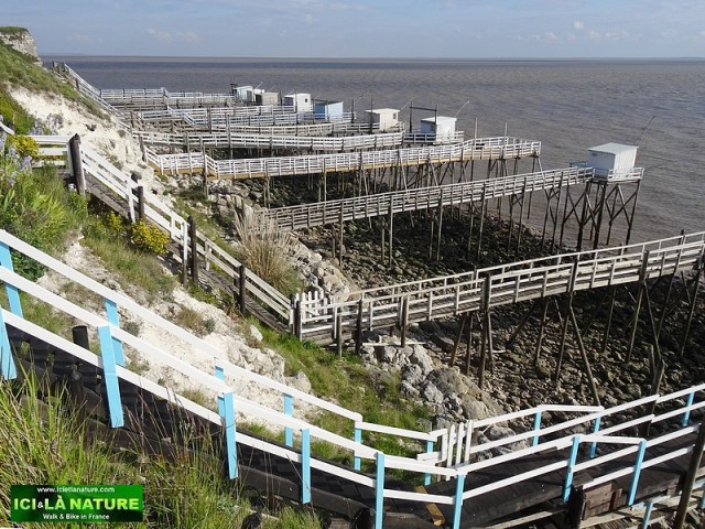 36-carrelets charente talmont