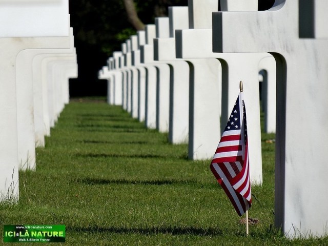 37-american flag normandy invasion