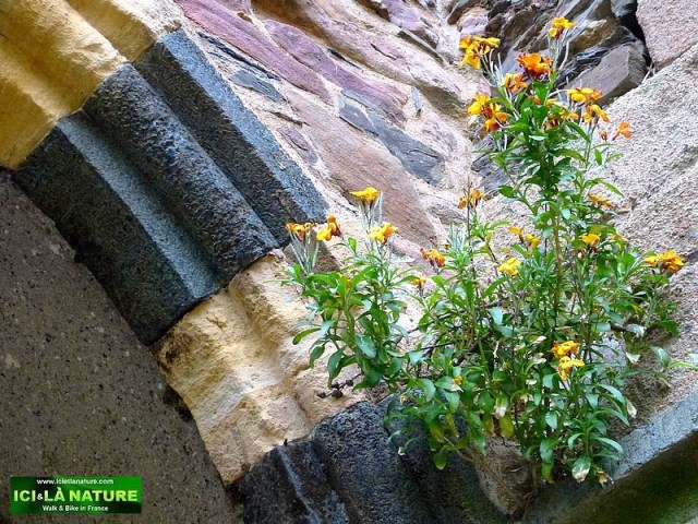 37-premontre abbaye beauport