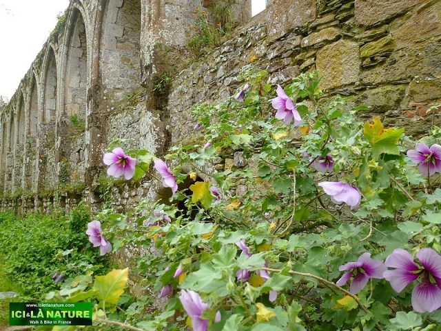 39-abbaye bretagne beauport
