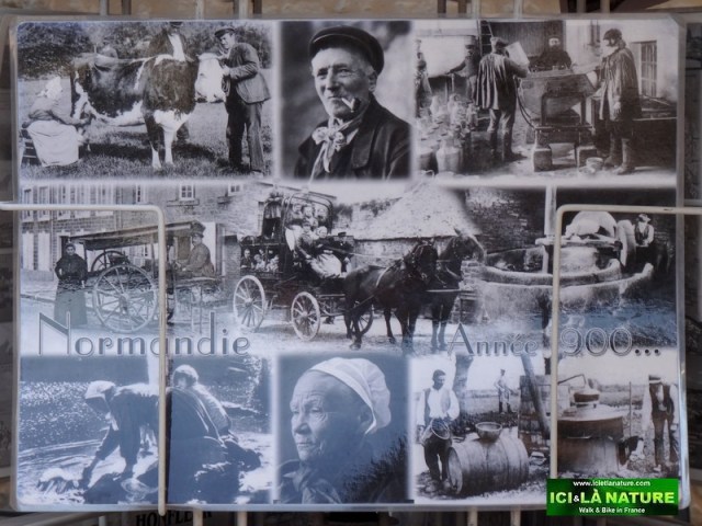 41-normandy 1900 years