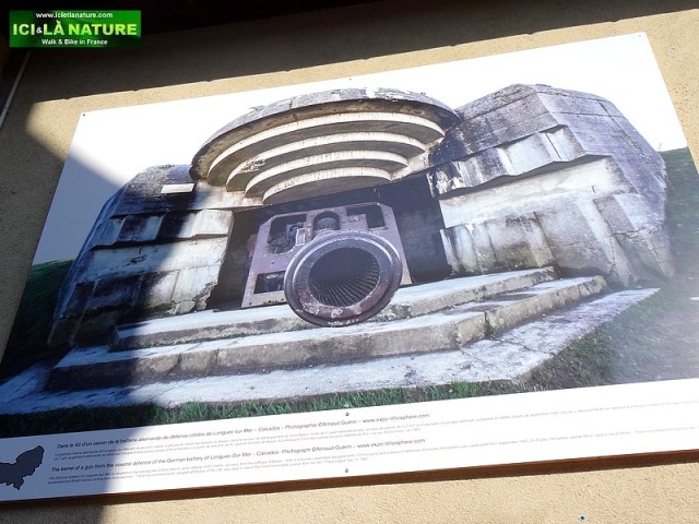 50-normandy german gun battery