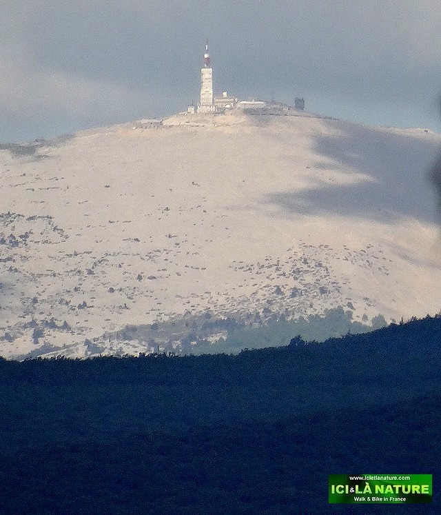 03-landscape mount ventoux provence