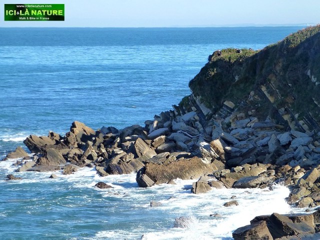pictures of France -ici et là nature