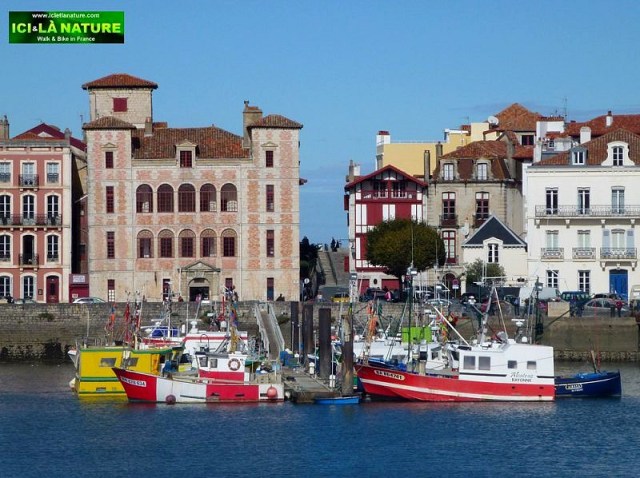 pictures of France ici et là nature