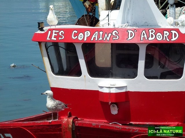 23-grandcamp-maisy normandy 1944