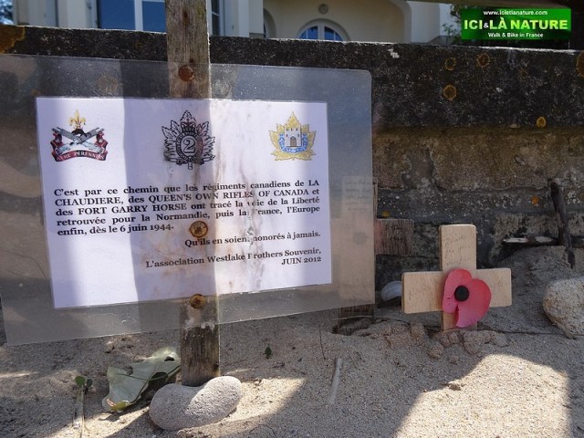 23-juno beach canadian army