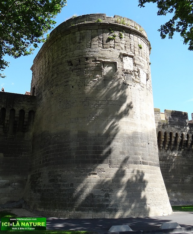 23-provence avignon town walls