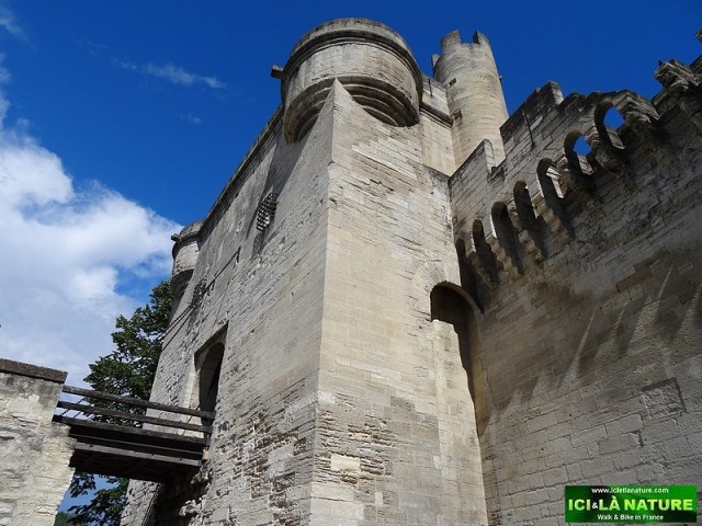 24-old castle provence avignon