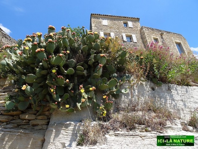 26-medieval perched village provence gordes