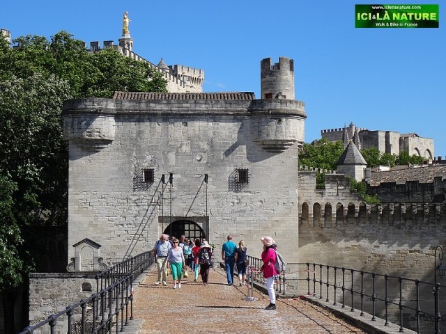 26-provence avignon bridge