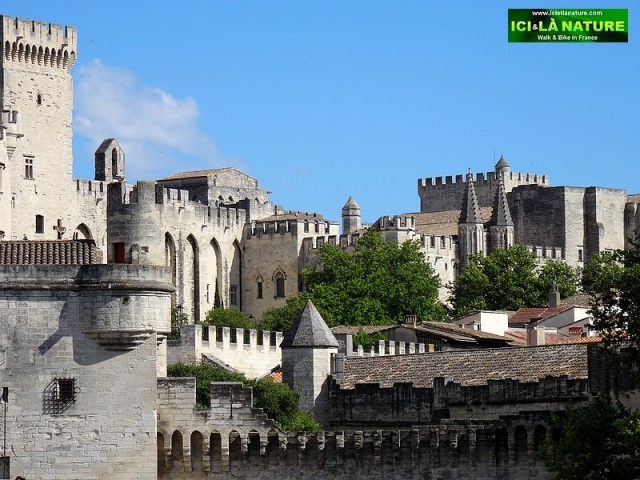 27-provence holidays avignon