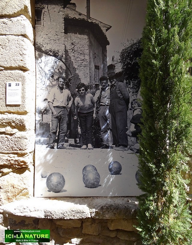 27-wall poster petanque provence