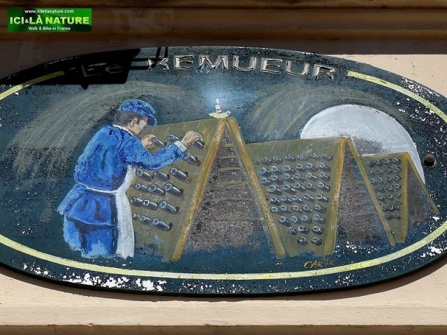 28-champagne vine grower