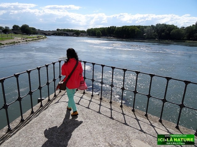 28-provence avignon bridge