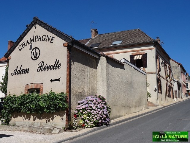 33-champagne adam revolte hautvillers marne