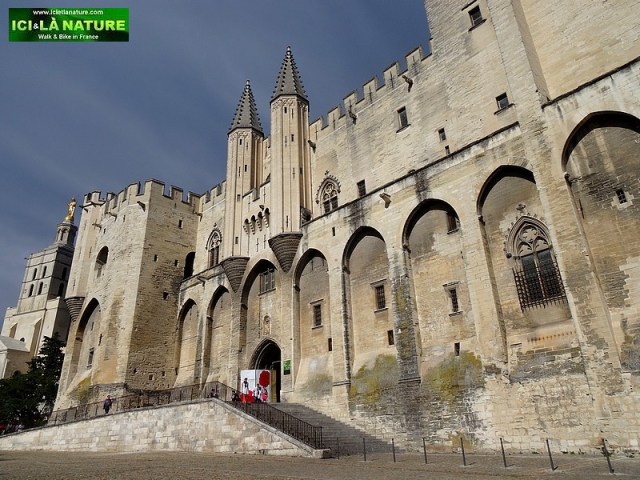 37-provence avignon palais des papes