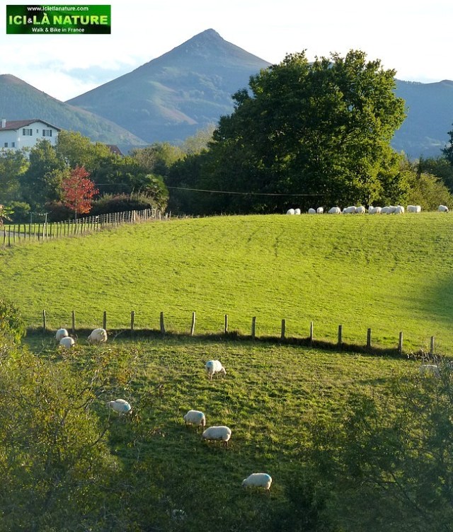 42-basque country mountain