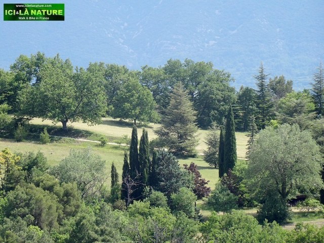 43-landscape picture provence