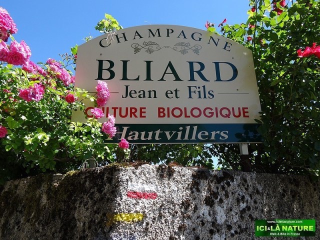 52-champagne biologique bliard