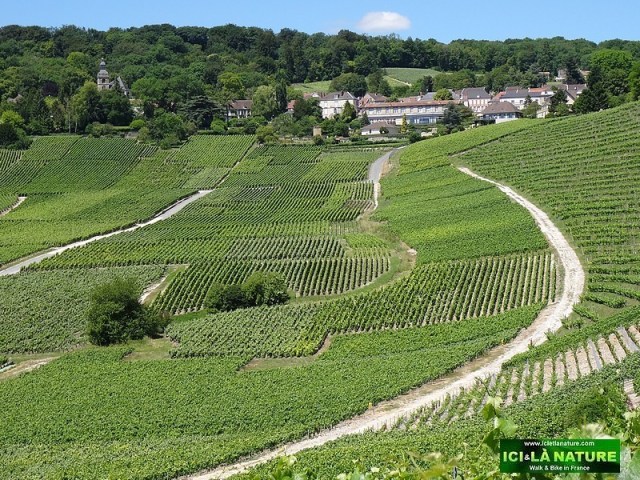 69-village hautvillers champagne