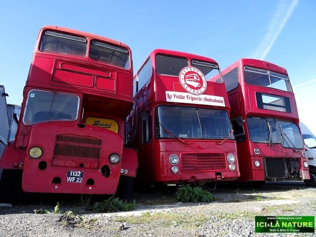 35-imperial red bus cemetery brittany
