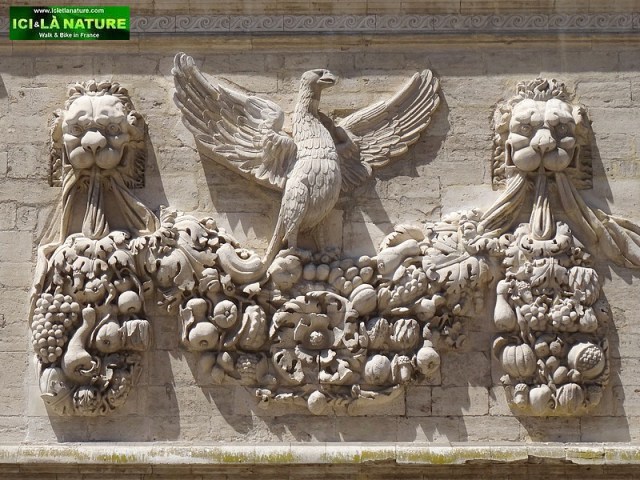 47-travel provence avignon