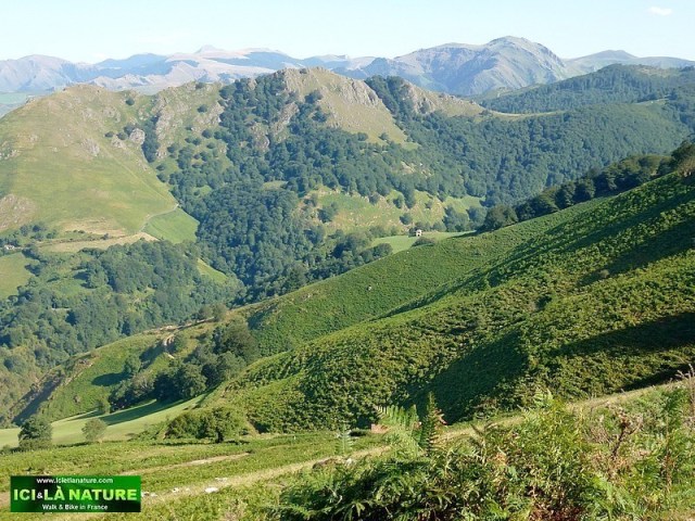 51-montagnes basques pyrenees atlantiques