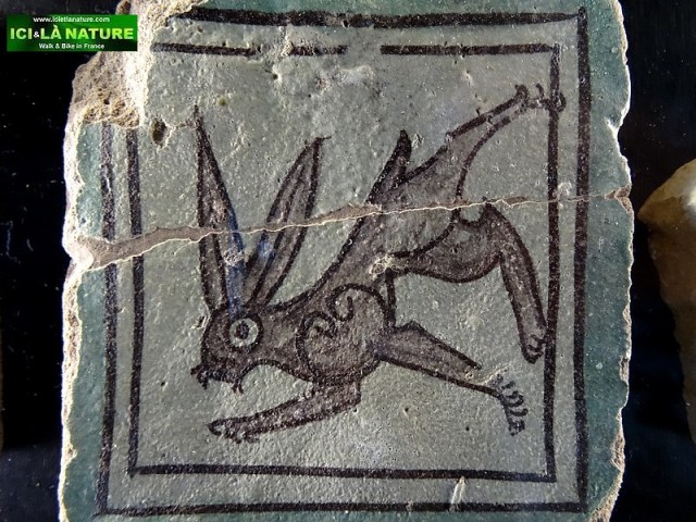 51-provence crazy rabbit avignon