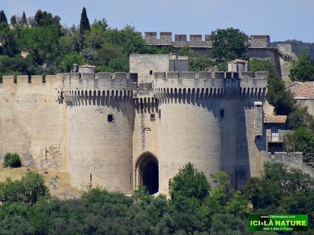 53-fort saint jean avignon provence