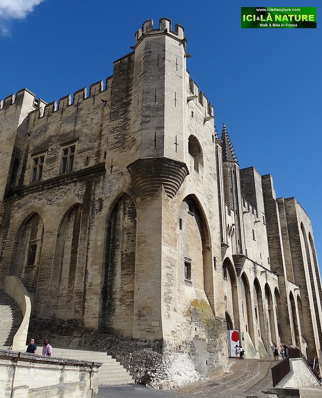 57-old castles in france avignon