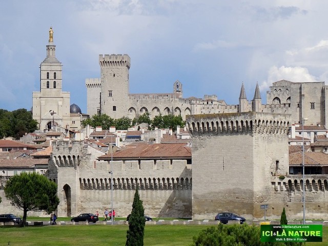 61-avignon palace