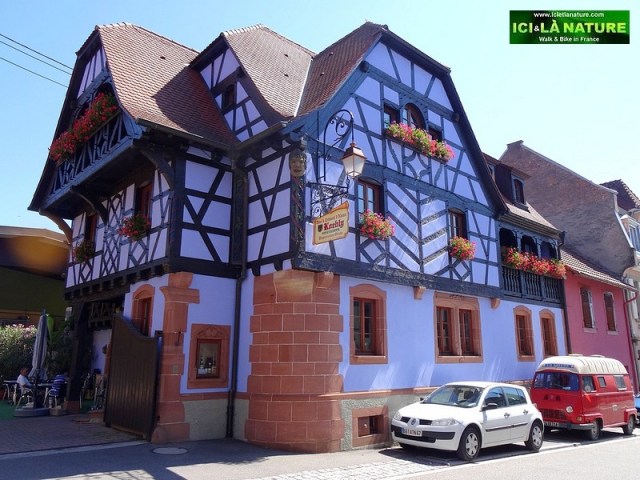 08-biking tour alsace road wine