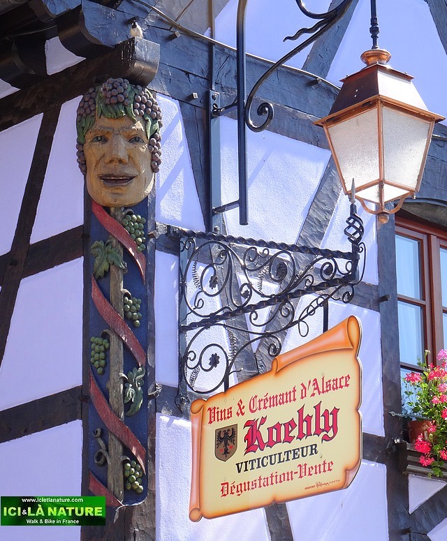 09-route des vins alsace