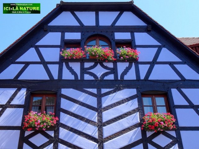 holidays, tours and trails in France