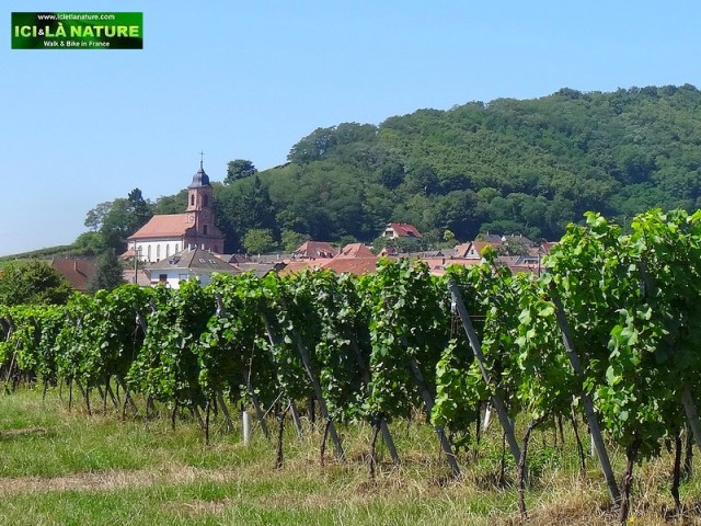 16-landscapes alsace villages