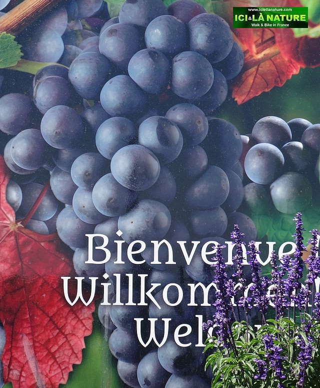 holidays, tours and trails in France