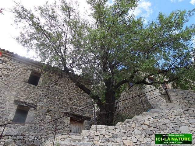 19-old street village provence
