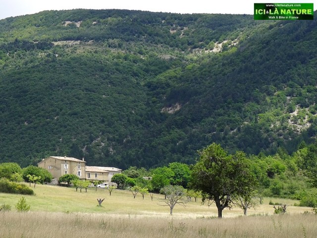 32-paysage mas vaucluse provence
