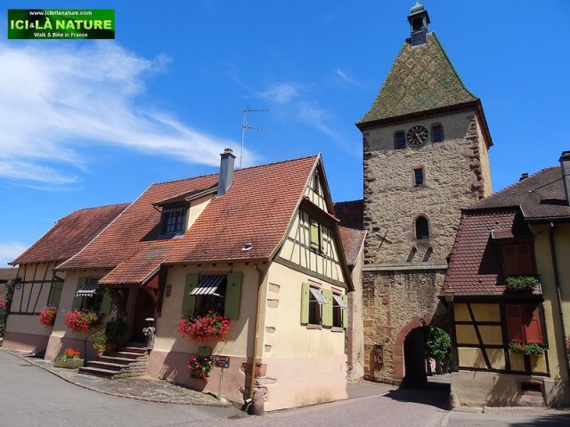 37-BERGHEIM ALSACE TRIP