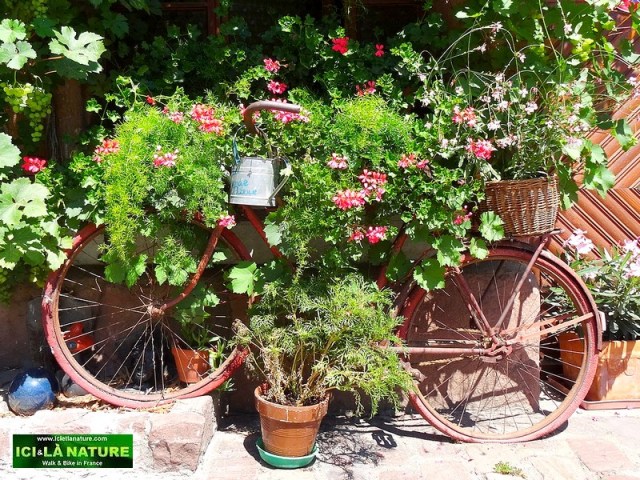 holidays , tours , trips and trails in France