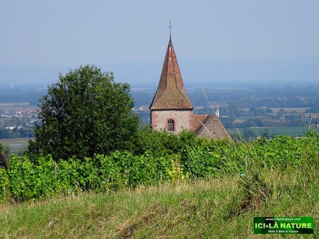 59-clocher vilage vigne alsace