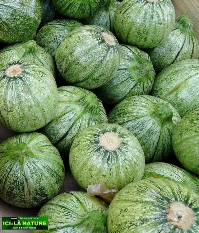 14-france open market provence